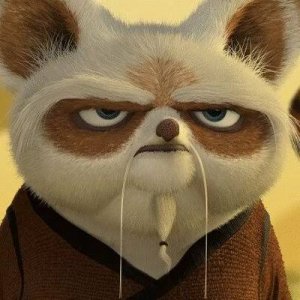 MaSTeR ShiFu