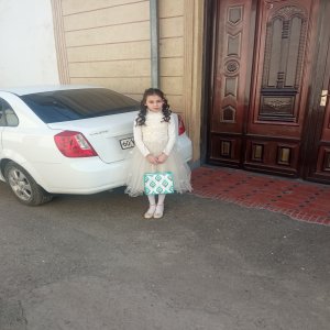 Arazchixonim Limoncha